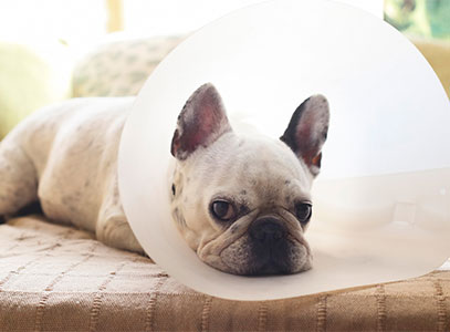 Service image thumbnail