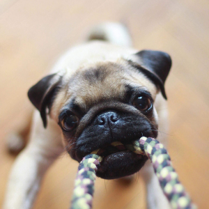 Service image thumbnail